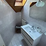 Pacsirta *